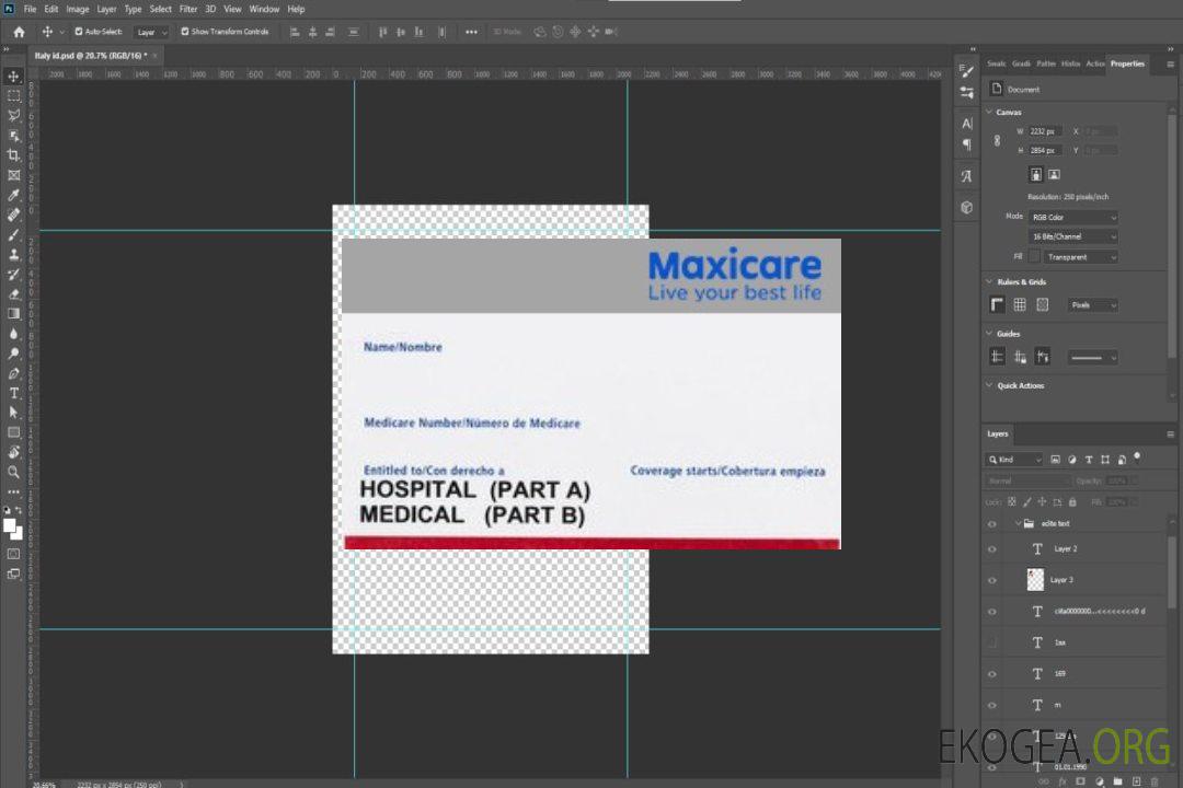 Carte d'assurance maladie des Philippines template